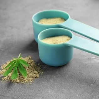 Białko konopne – czym jest i jakie ma właściwości?